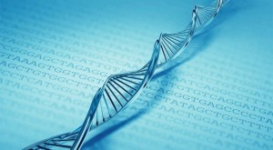 تحول در ابزارهای ذخیره سازی ۷۰۰ ترابایت اطلاعات در یک گرم DNA